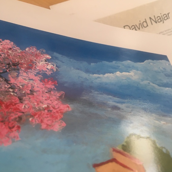 David Najar lithograph with spot varnish. Comes with certificate of authenticity - Picture 5 of 5